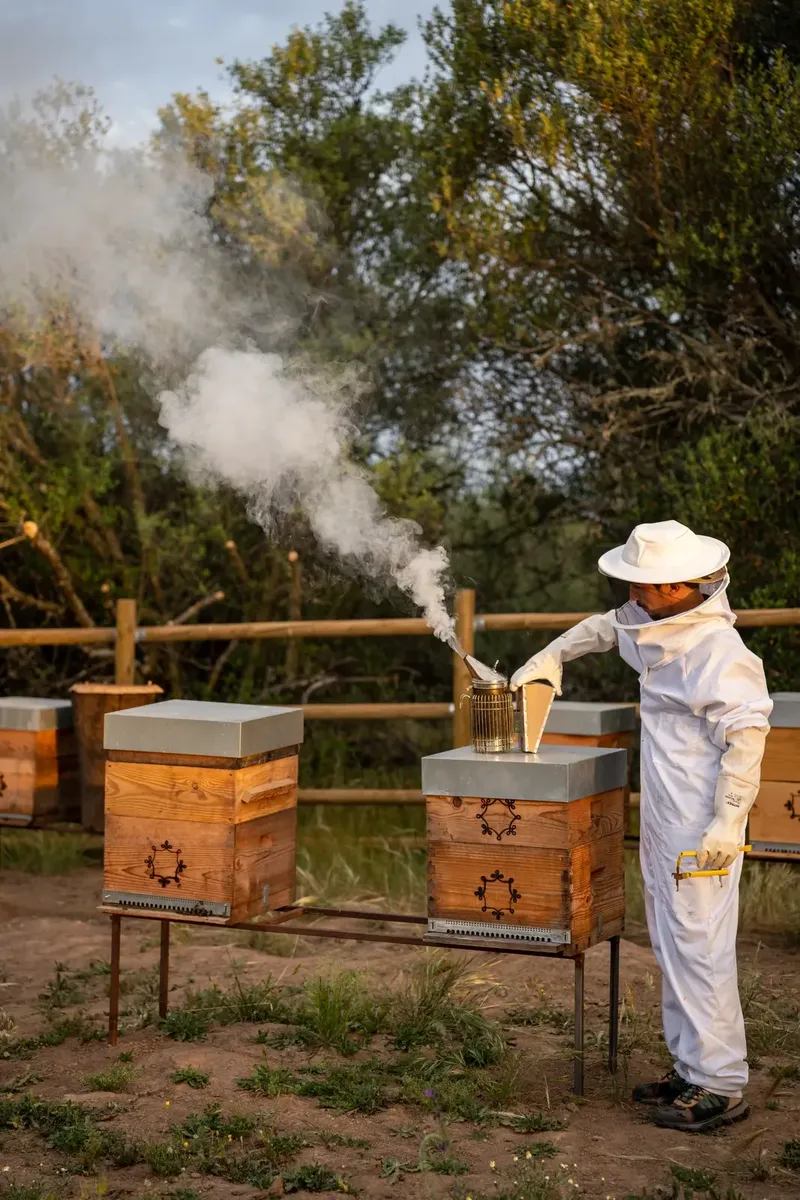 São Lourenço do Barrocal beekeeping experience
