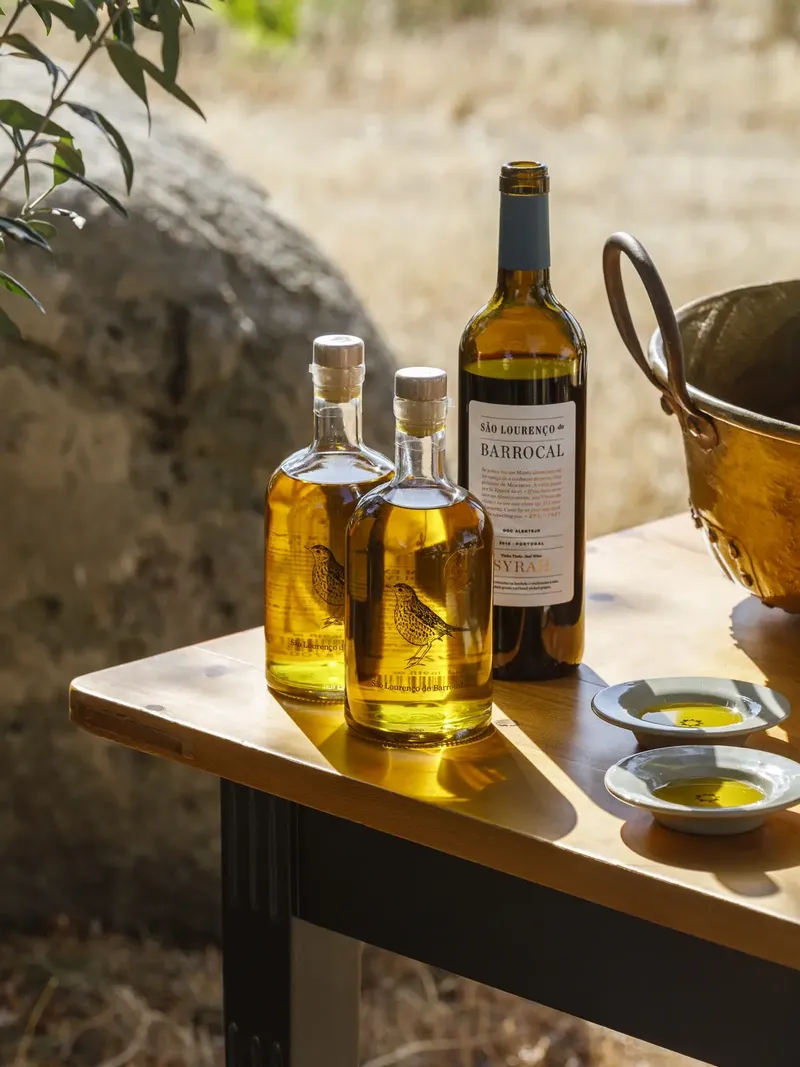 São Lourenço do Barrocal olive oil tasting from working production