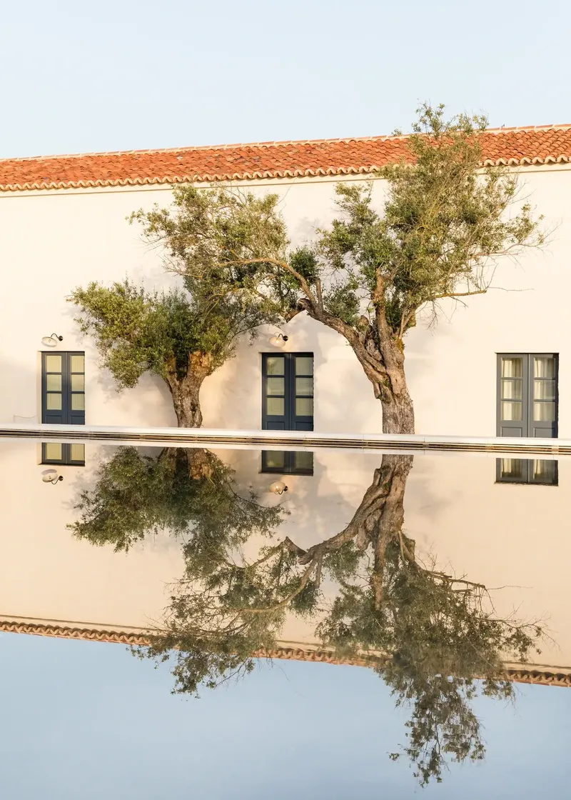 São Lourenço do Barrocal Winery Room