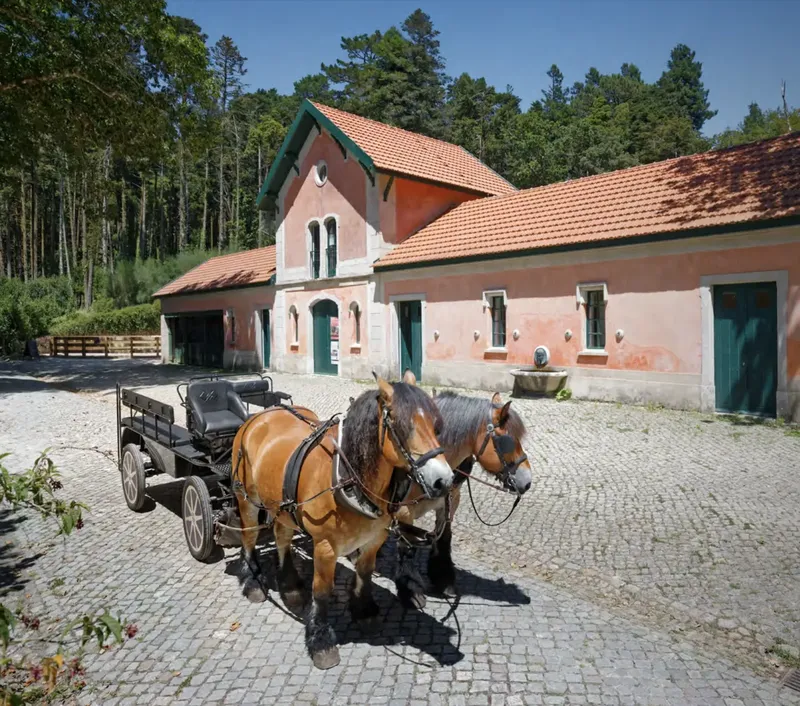 Pena Stables Auditorium pink building with horse and carriage