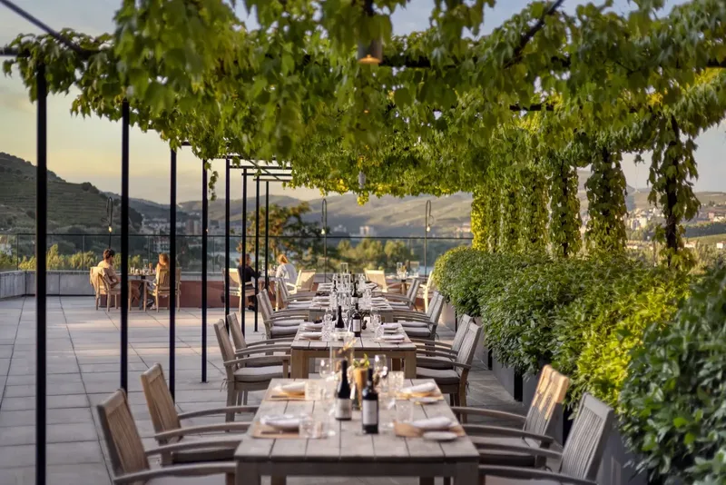Six Senses Douro Valley Wine Library terrace